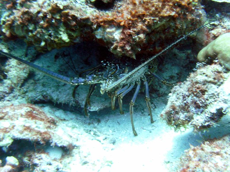 2011-09-10 14-16-49 Steven.JPG